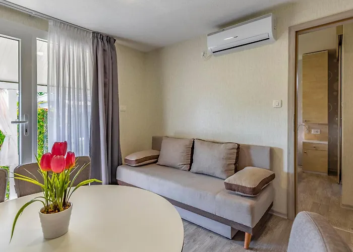 Mobile Luxury Premium-4 By Interhome * Pula